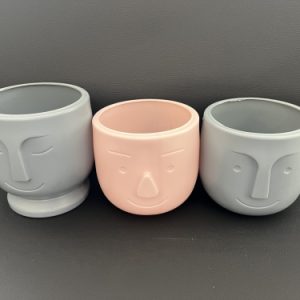 3 Model Saksı
